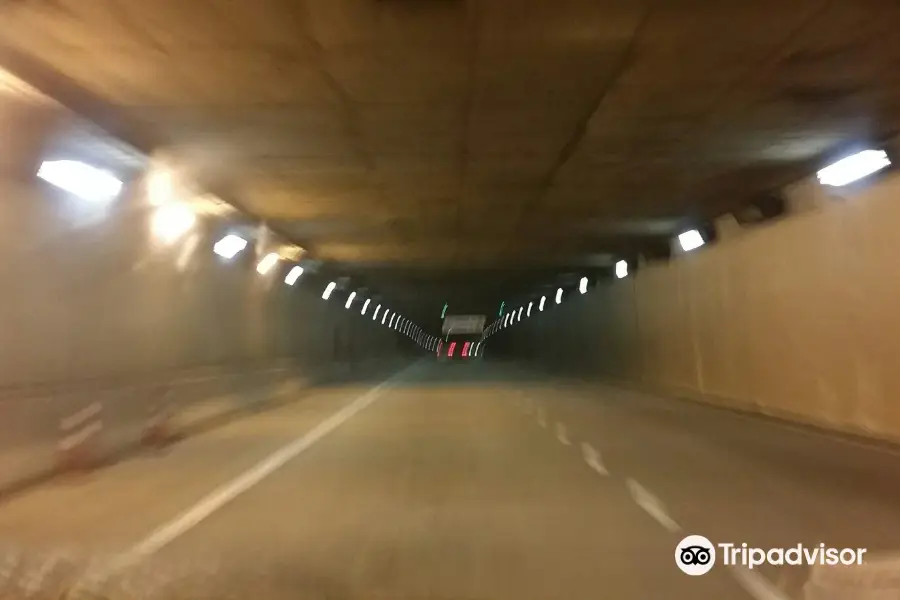 精明隧道