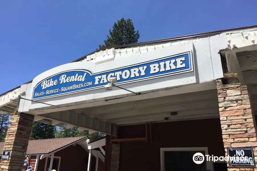 Factory Bike