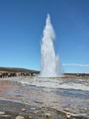 Arctic Wings Icelandic