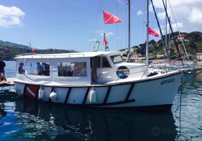 Porto Azzurro Diving Center