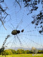 Il Giardino del Chiostro