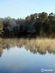 Gleeson Wetlands