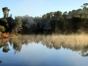 Gleeson Wetlands