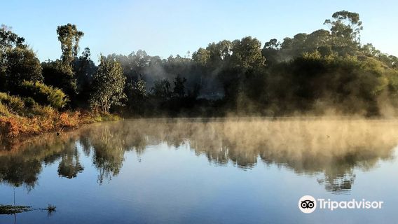 Gleeson Wetlands