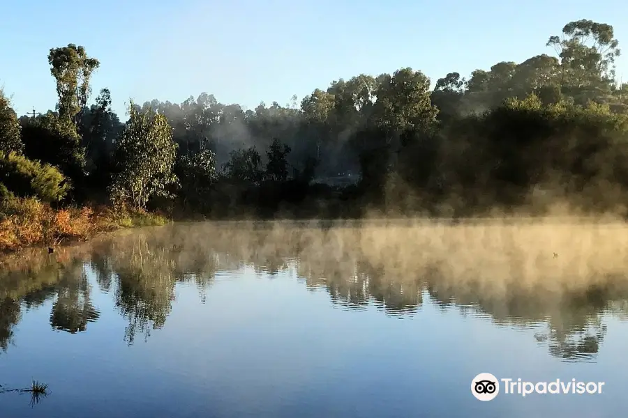 Gleeson Wetlands