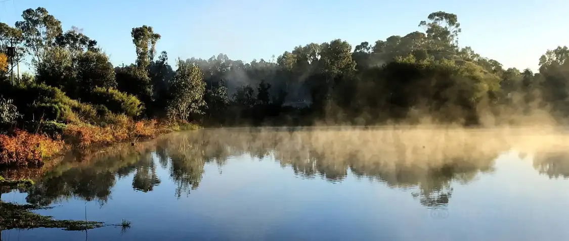 Hotels near Gleeson Wetlands