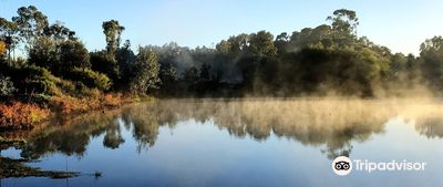 Gleeson Wetlands