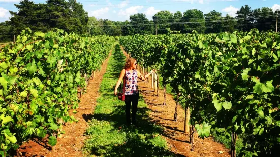 Buckingham Valley Vineyards