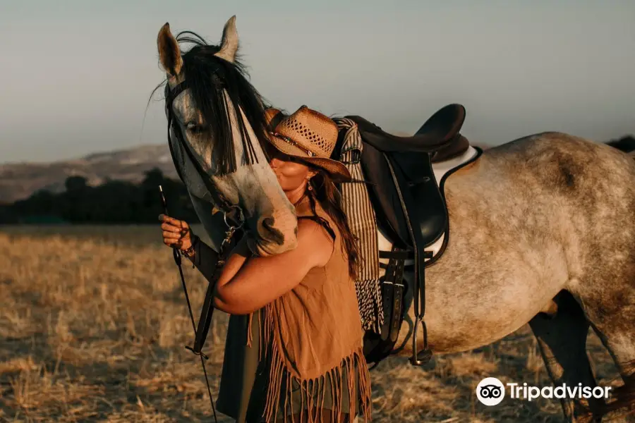 Caballos y Vinos / Ruta a Caballo