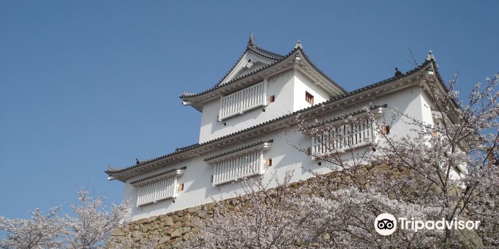 Tsuyama Castle