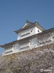 Castillo de Tsuyama