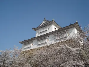 Burg Tsuyama