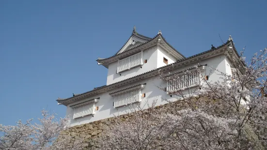 Tsuyama Castle