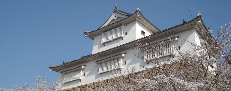 Burg Tsuyama
