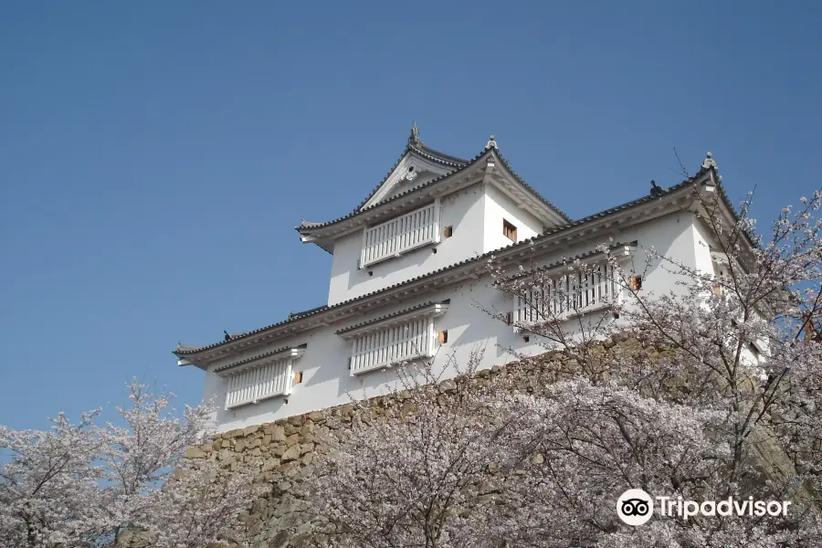 Tsuyama Castle