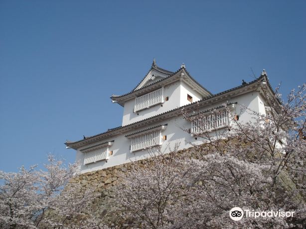 Tsuyama Castle