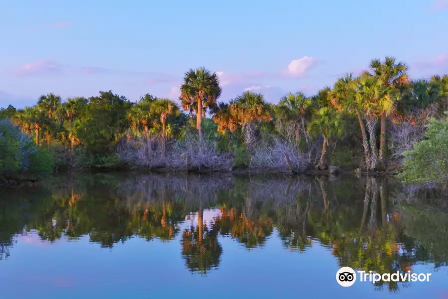 Ormond Scenic Loop & Trail