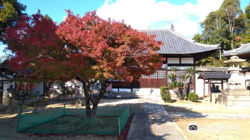 宗光寺