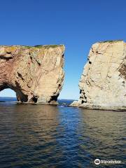 Whale Cruises on the Julien Cloutier Enr.