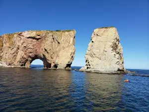 Whale Cruises on the Julien Cloutier Enr.