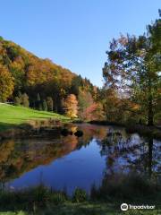 l'Arboretum National du Vallon de l'Aubonne