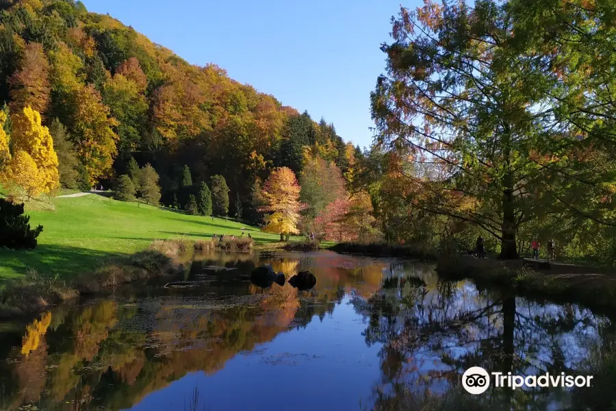 l'Arboretum National du Vallon de l'Aubonne