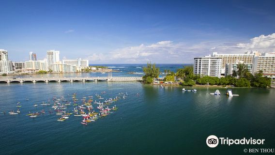 Velauno Paddleboarding