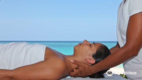 Sivananda Ashram Yoga Retreat Well Being Center