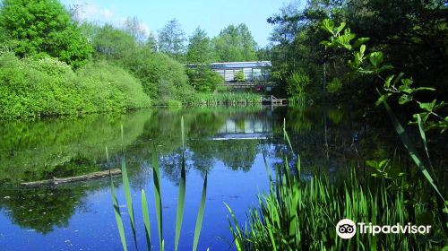 Trafford Ecology Park, Groundwork