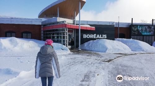 Boréalis