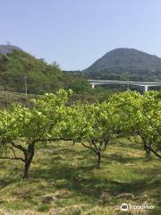 Kotogahama Beach