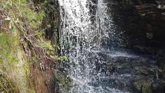 Tory's Falls