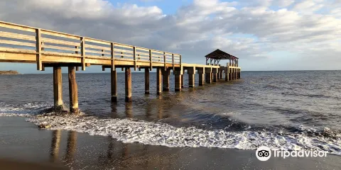 Waimea Pier