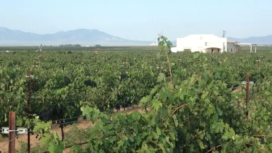 Zarpara Vineyard