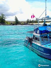 Aquatic Life Divers, Kona