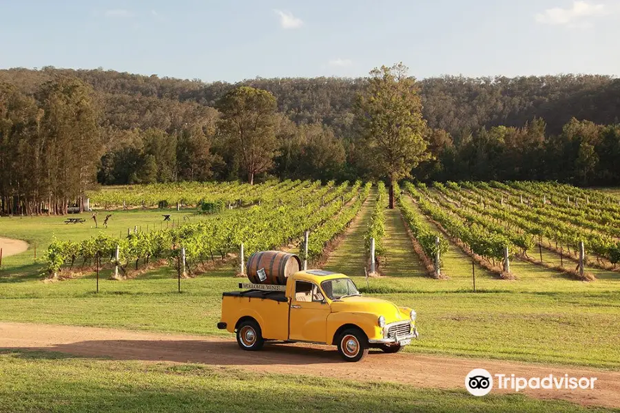 Wollombi Wines