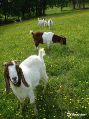 Hudson Heritage Farms