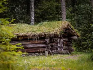 Norwegian Forestry Museum