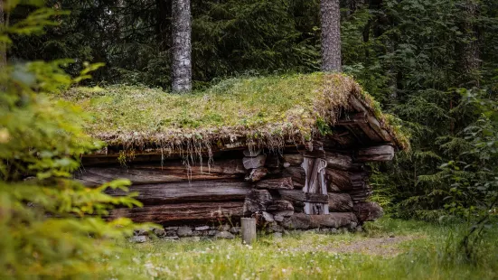 Norwegian Forestry Museum