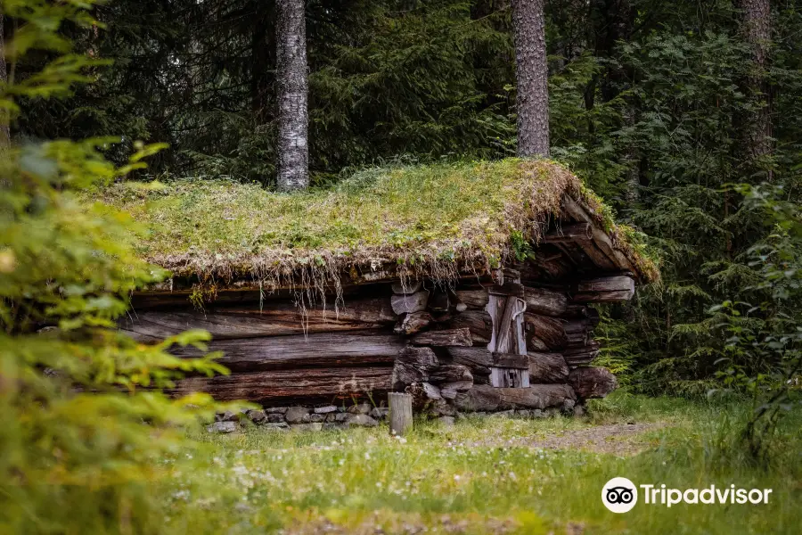 Norwegian Forestry Museum