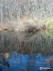 Laughing Brook Wildlife Sanctuary