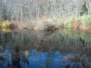 Laughing Brook Wildlife Sanctuary