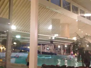 Roompot Swimming Paradise