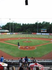Lexington County Baseball Stadium- Blowfish