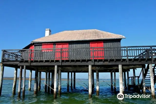 Arcachon Découverte