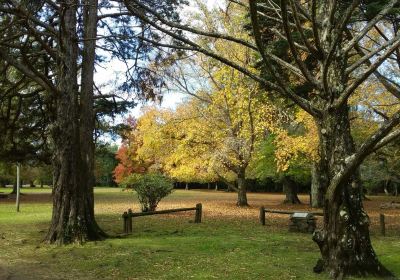 Parque Juan Zorrilla de San Martin