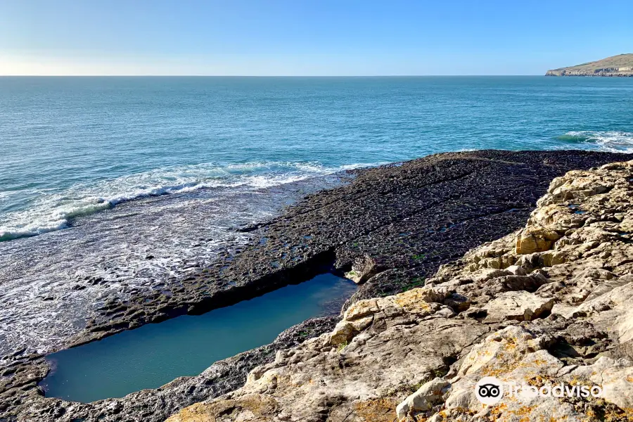 South West Coast Path -  Dancing Ledge and Langton Matravers