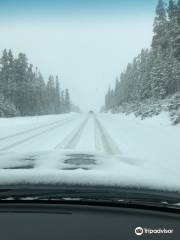 Helena-Lewis & Clark National Forest