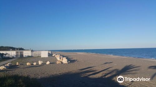 Spiaggia di Policoro