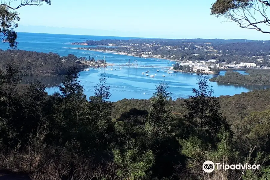 Holmes lookout